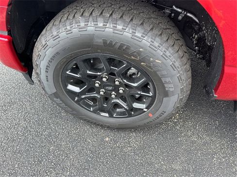 New 2025 Ford F150 XLT w/ Equipment Group 302A MID image 15