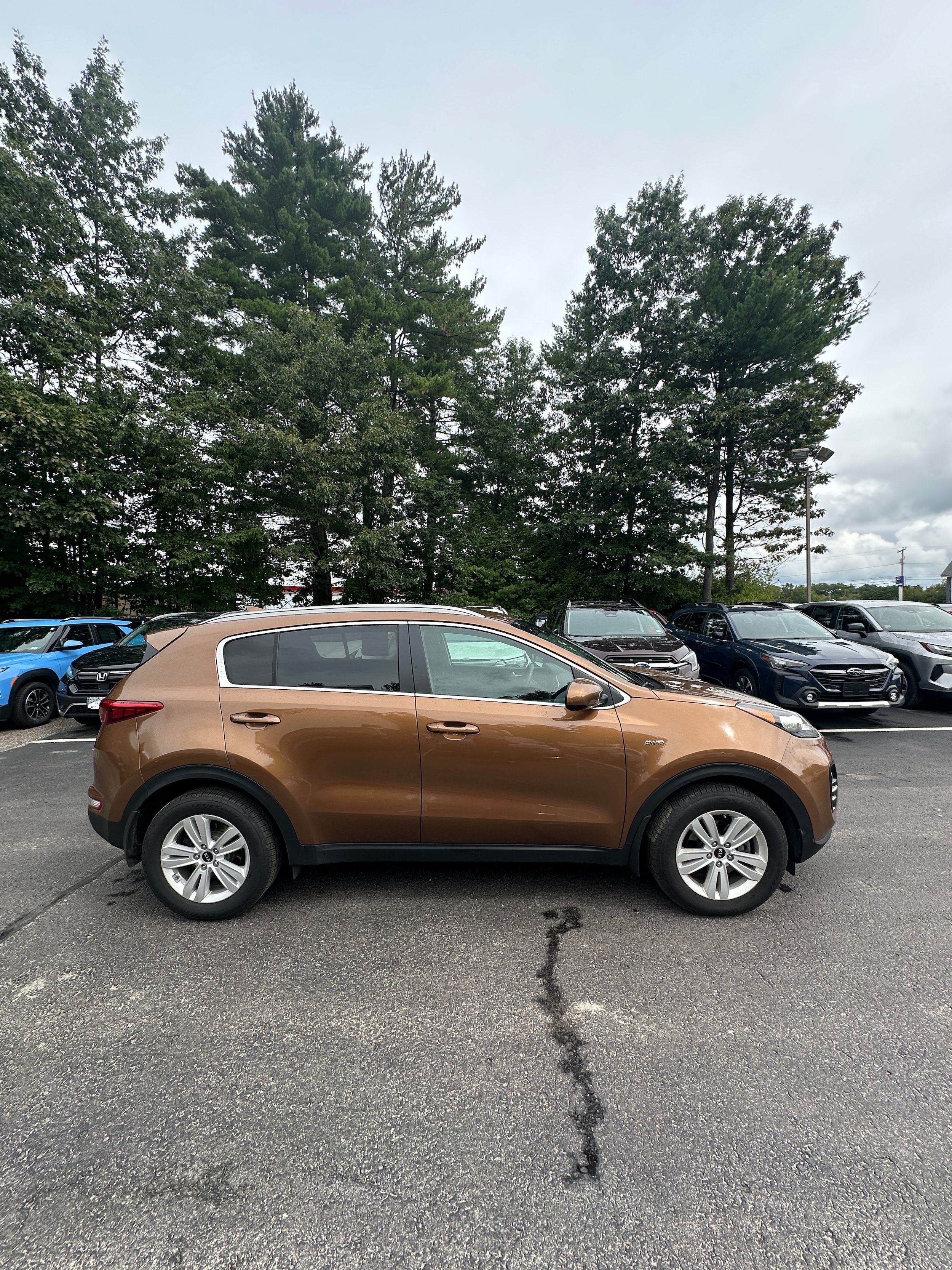 Used 2019 Kia Sportage LX w/ LX Popular Package AWD/4WD image 4