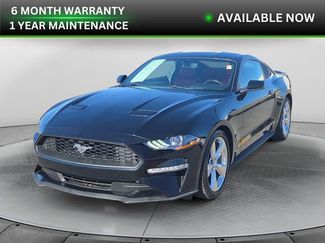 Used 2019 Ford Mustang Premium w/ Equipment Group 201A video 1