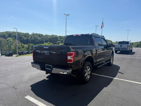 Used 2019 Ford F150 XLT w/ Equipment Group 302A Luxury AWD/4WD image 6