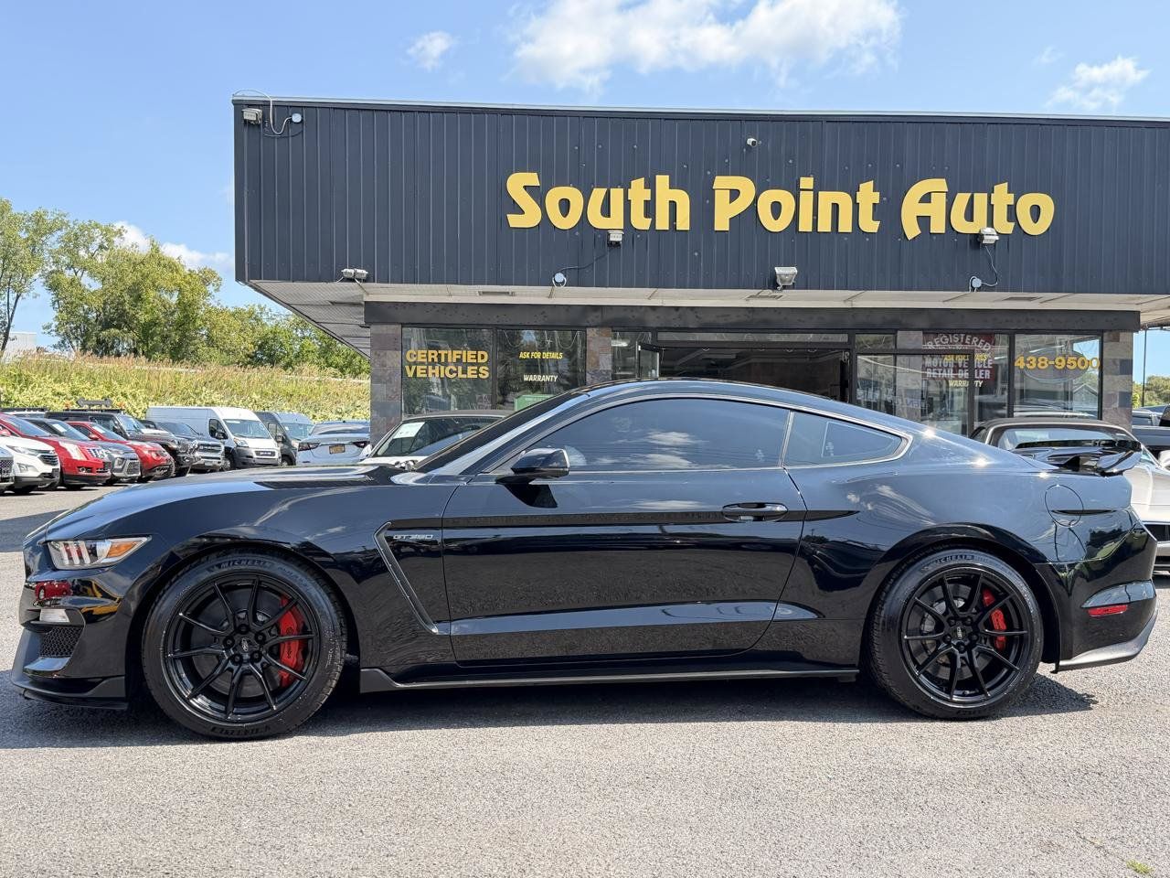 Used 2019 Ford Mustang Shelby GT350 w/ Technology Package RWD image 8