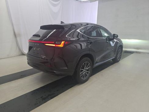 Used 2024 Lexus NX 350h AWD w/ Cold Area Package image 4