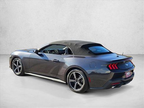 Used 2024 Ford Mustang Premium image 7