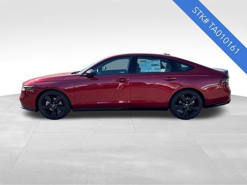 New 2026 Honda Accord Sport image 4
