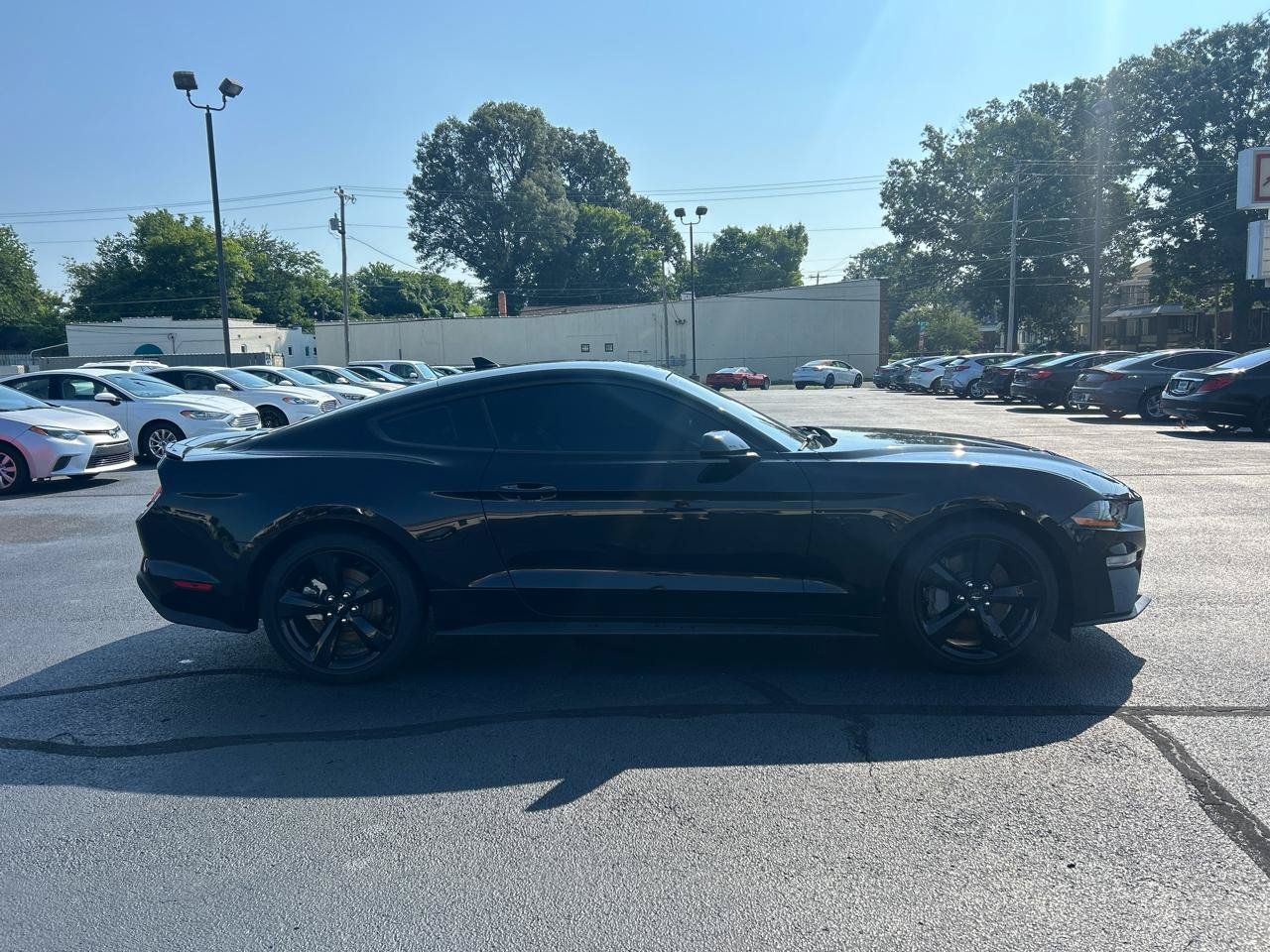 Used 2023 Ford Mustang GT Premium w/ Mustang Nite Pony Package RWD image 4