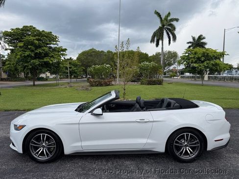 Used 2017 Ford Mustang Premium RWD image 5