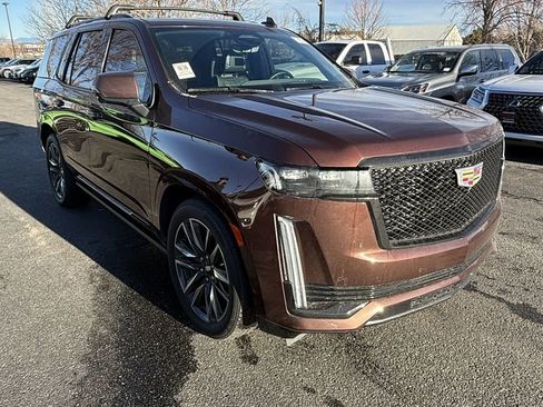 Used 2023 Cadillac Escalade Sport Platinum image 1