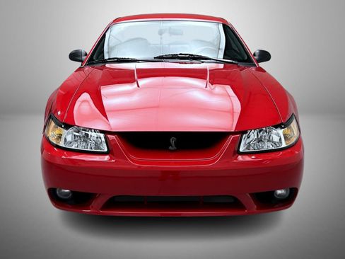 Used 1999 Ford Mustang Cobra RWD image 2