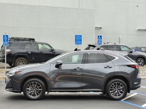 Used 2025 Lexus NX 350h AWD w/ Premium Package image 7
