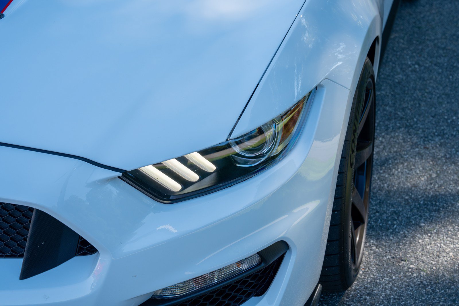 Used 2019 Ford Mustang Shelby GT350R w/ GT350R Equipment Group 920A RWD image 4