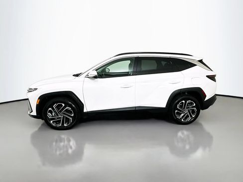 Used 2025 Hyundai Tucson Limited AWD/4WD image 8