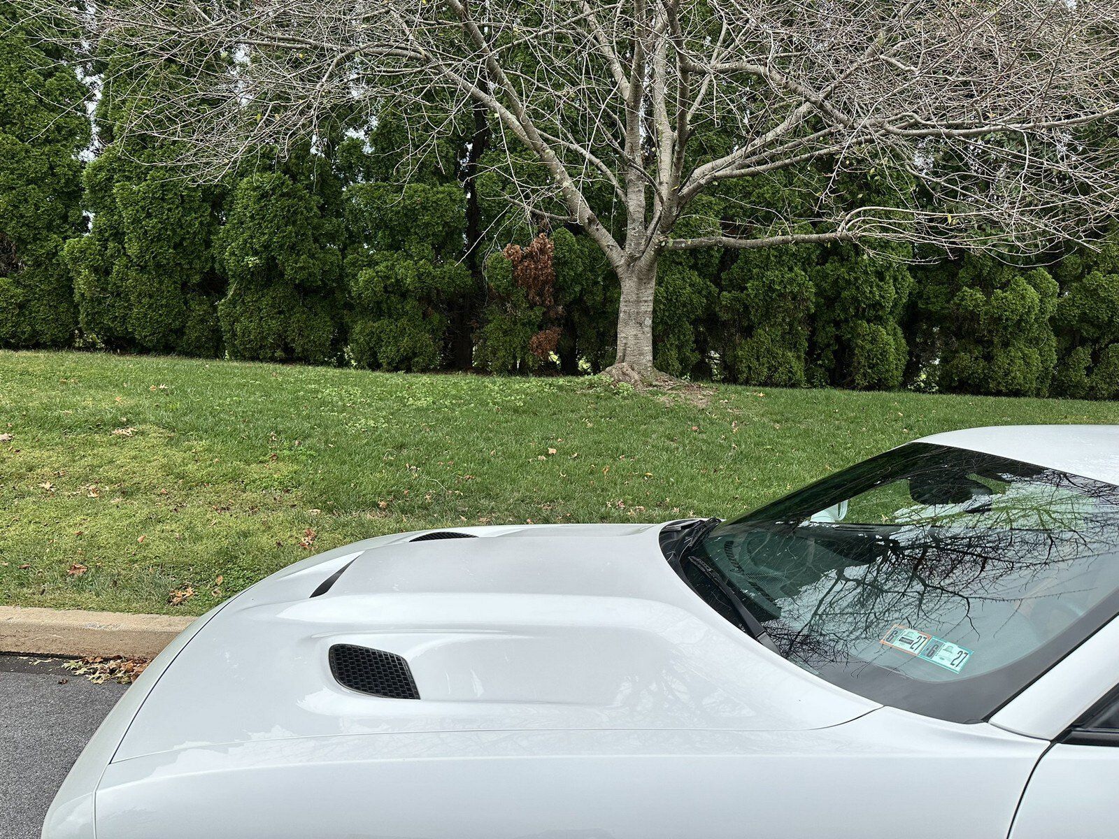 Used 2015 Dodge Challenger SRT Hellcat RWD image 87