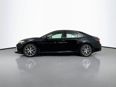 Certified 2023 Toyota Camry XLE w/ Protection Package (Q2) (TMS)
