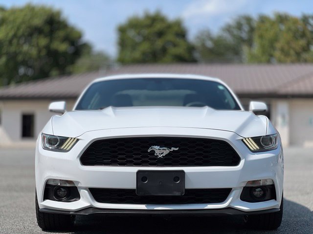 Used 2017 Ford Mustang Premium w/ Equipment Group 201A RWD image 2