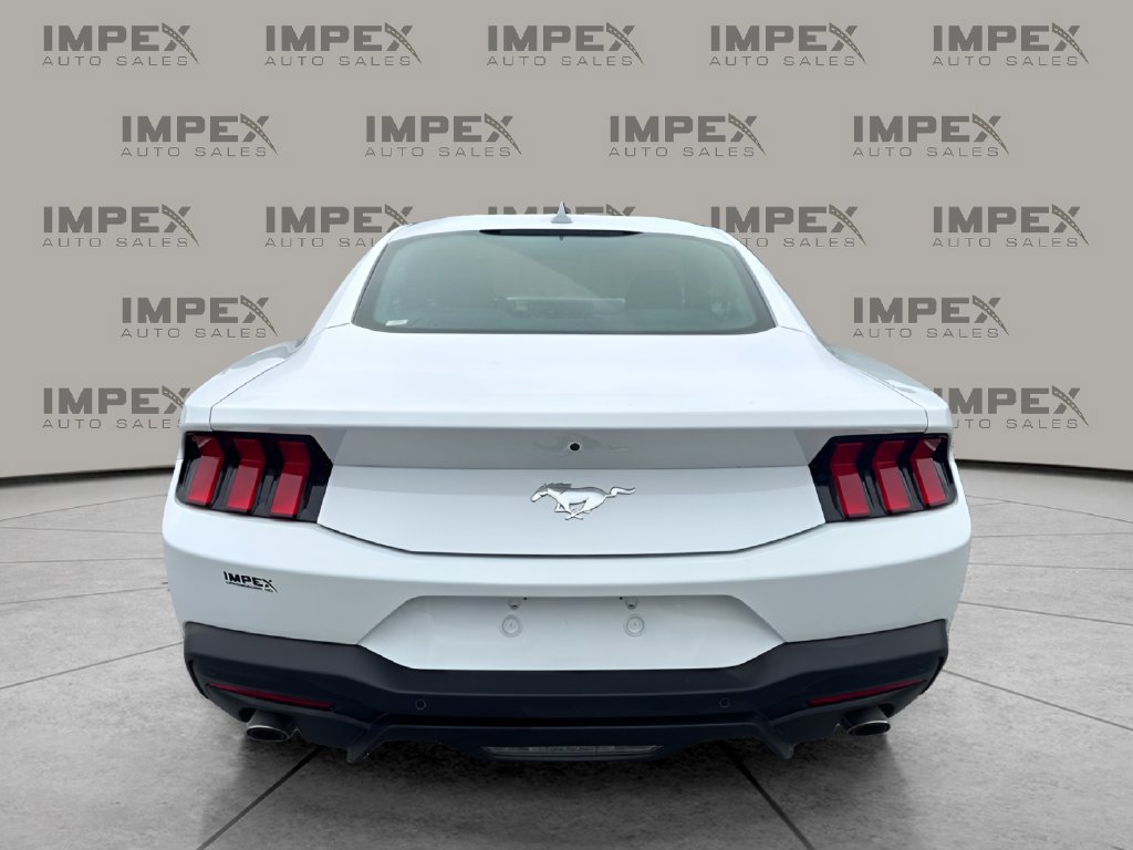 Used 2026 Ford Mustang Coupe RWD image 4