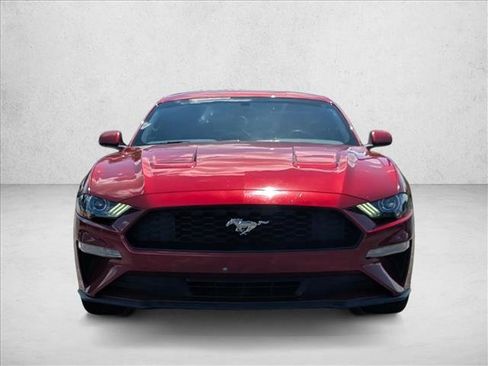 Used 2019 Ford Mustang Coupe RWD image 2