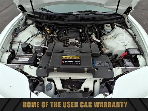 Used 1999 Pontiac Firebird Formula RWD image 12