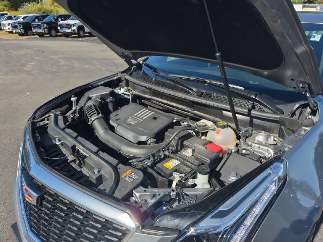 Used 2024 Cadillac XT5 Premium Luxury AWD/4WD image 38
