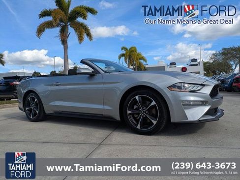 Used 2023 Ford Mustang Convertible w/ Equipment Group 101A image 1