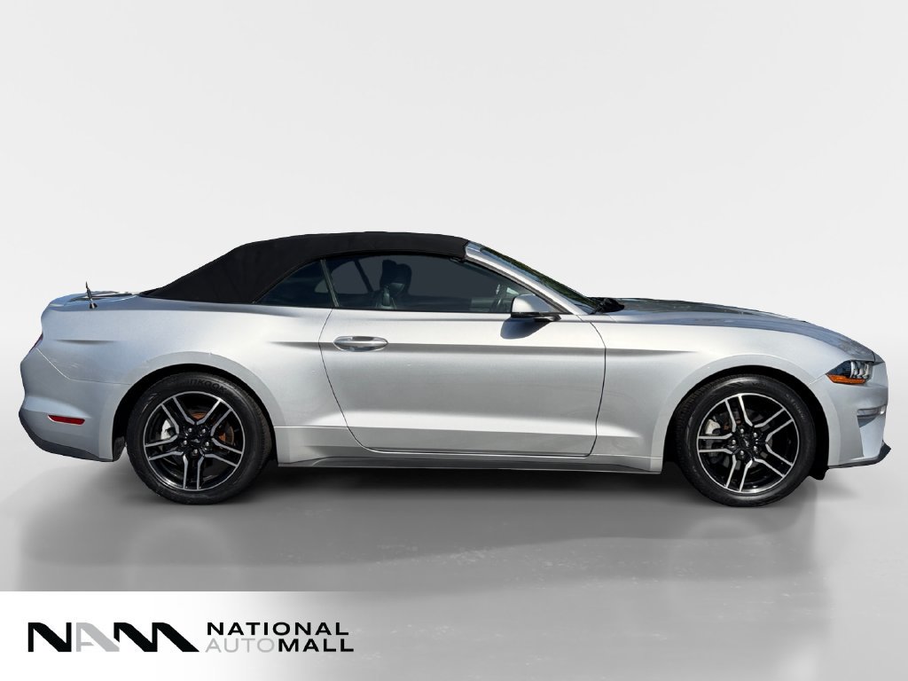 Used 2019 Ford Mustang Premium RWD image 6