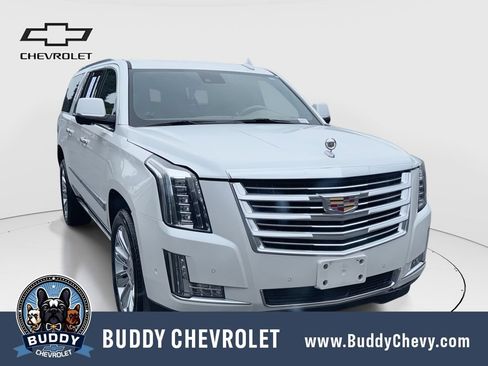 Used 2020 Cadillac Escalade ESV Platinum AWD/4WD image 1
