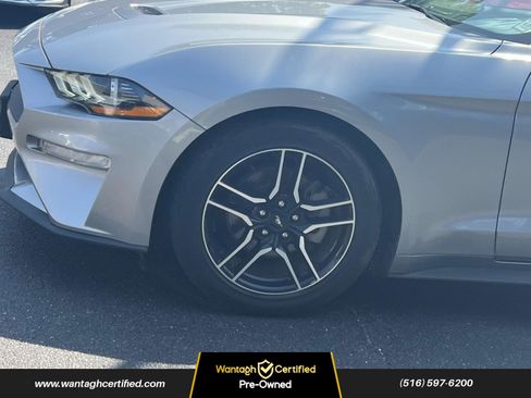 Used 2023 Ford Mustang Premium image 7