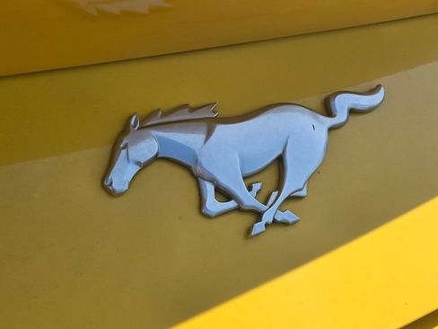 Certified 2024 Ford Mustang Premium RWD image 13