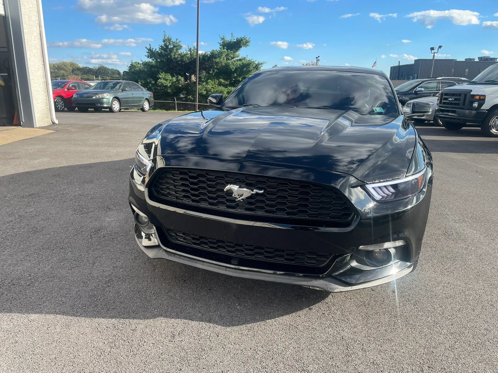 Used 2015 Ford Mustang Premium w/ Enhanced Security Package RWD image 4