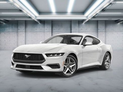 New 2026 Ford Mustang Coupe w/ Mustang Nite Pony Package RWD image 1