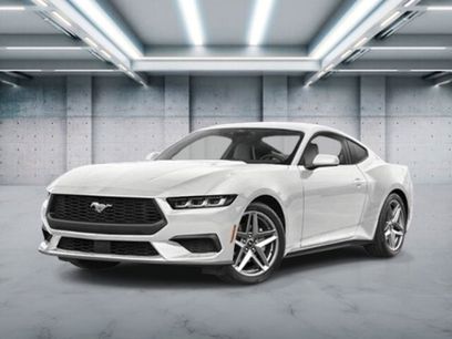 New 2026 Ford Mustang Coupe w/ Mustang Nite Pony Package