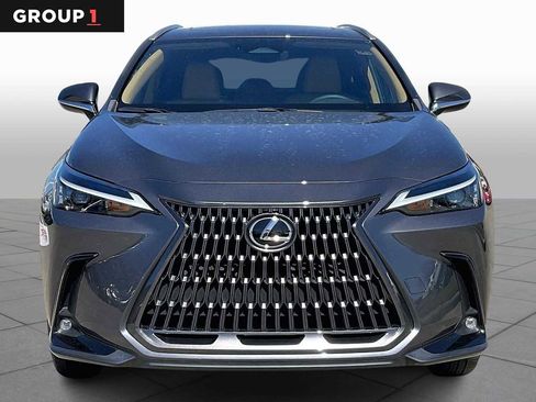 Used 2024 Lexus NX 250 w/ Cold Area Package image 4