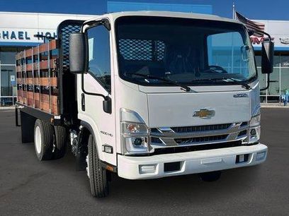 New 2025 Chevrolet Low Cab Forward