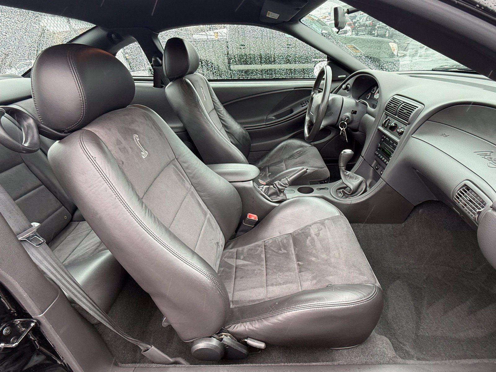 Used 2004 Ford Mustang Cobra RWD image 15