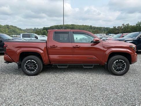 Used 2025 Toyota Tacoma TRD Sport w/ TRD Sport Premium Package AWD/4WD image 4