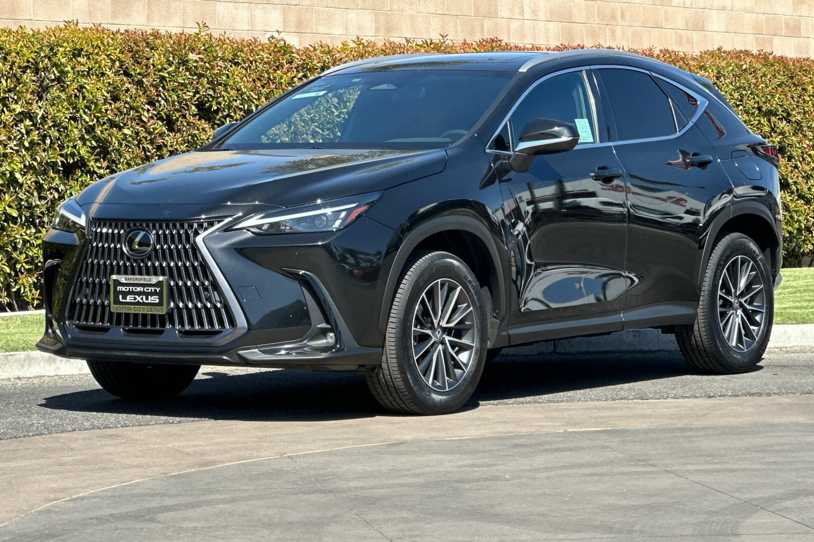 Certified 2025 Lexus NX 350h AWD w/ Cold Area Package image 8