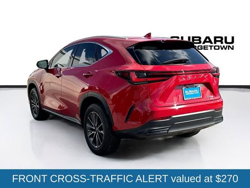 Used 2025 Lexus NX 350 AWD w/ Cold Area Package image 6
