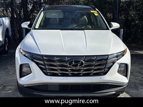 Used 2024 Hyundai Tucson Limited image 2