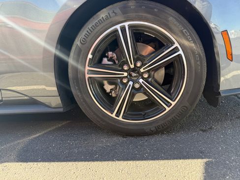 Used 2024 Ford Mustang EcoBoost image 5