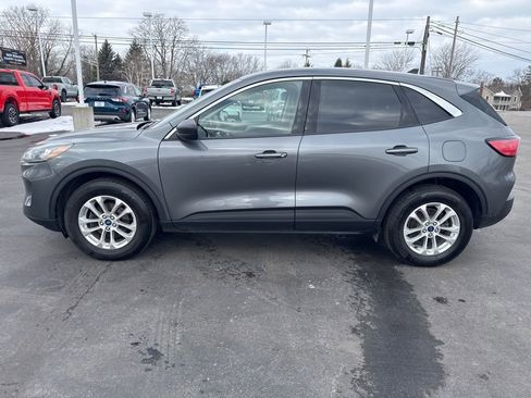 Used 2022 Ford Escape SE w/ Cold Weather Package image 4