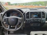 Used 2015 Ford F150 XLT w/ Equipment Group 302A Luxury image 6