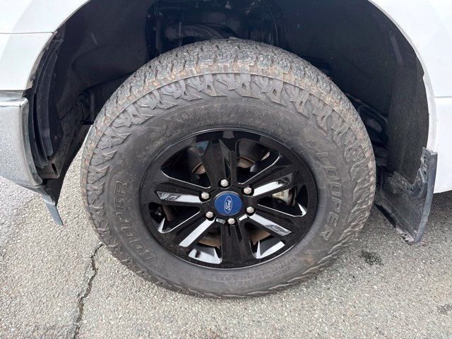 Used 2019 Ford F150 XLT w/ Equipment Group 301A Mid AWD/4WD image 5