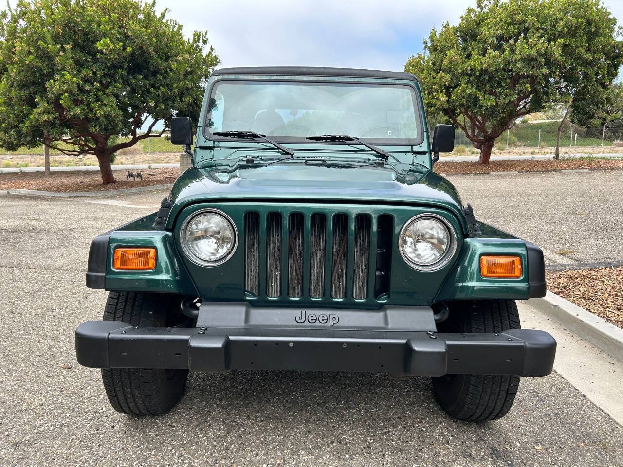 Used 2001 Jeep Wrangler Sport AWD/4WD image 4