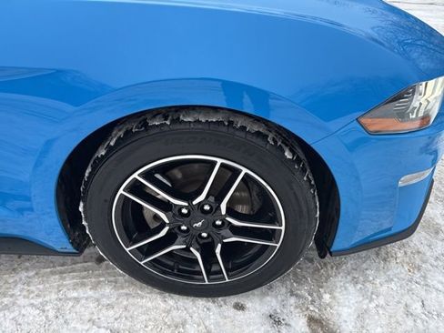 Used 2023 Ford Mustang Premium image 12