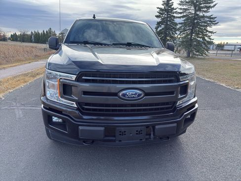 Used 2019 Ford F150 XLT w/ Equipment Group 302A Luxury image 4