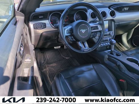 Used 2021 Ford Mustang Premium image 12