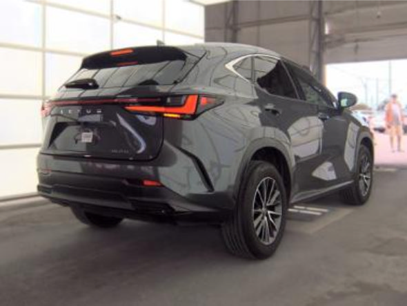 Used 2025 Lexus NX 250 FWD w/ Cold Area Package image 2