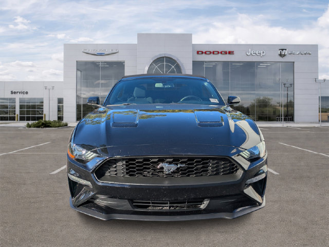 Used 2019 Ford Mustang Convertible w/ Equipment Group 101A RWD image 8