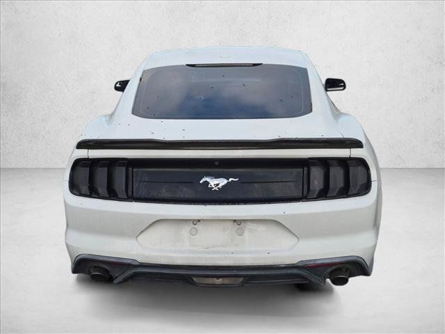 Used 2019 Ford Mustang Coupe RWD image 6
