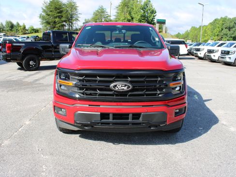 Used 2025 Ford F150 XLT w/ Equipment Group 303A High AWD/4WD image 3