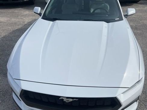 Used 2024 Ford Mustang Premium image 9